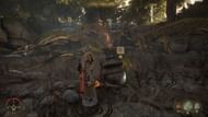You do honey-pot the bear eventually (Image via Digital Extremes)